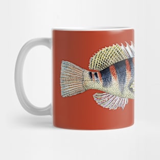 Musical Fish in F Sharp Mug